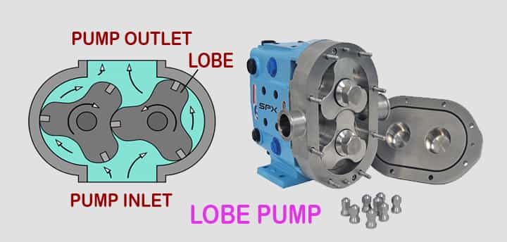 lobe type gear pumps